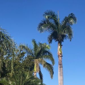 Meet your Posher, Marcia